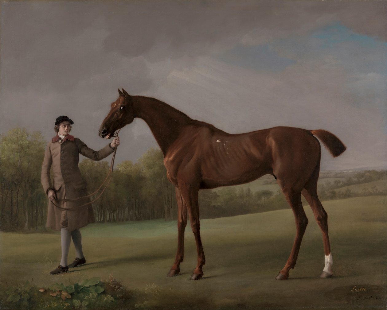 Bir Damat tarafından tutulan Lustre by George Stubbs