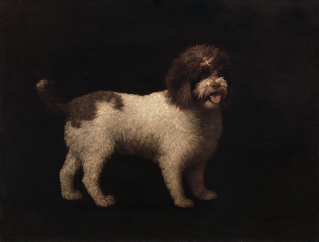 Su Spanieli, 1769. by George Stubbs