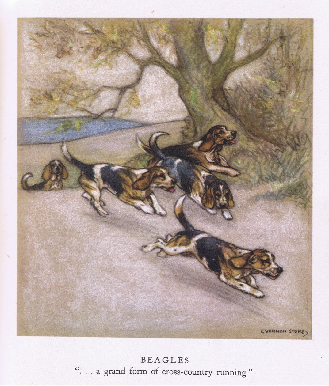  by George Vernon Stokes
