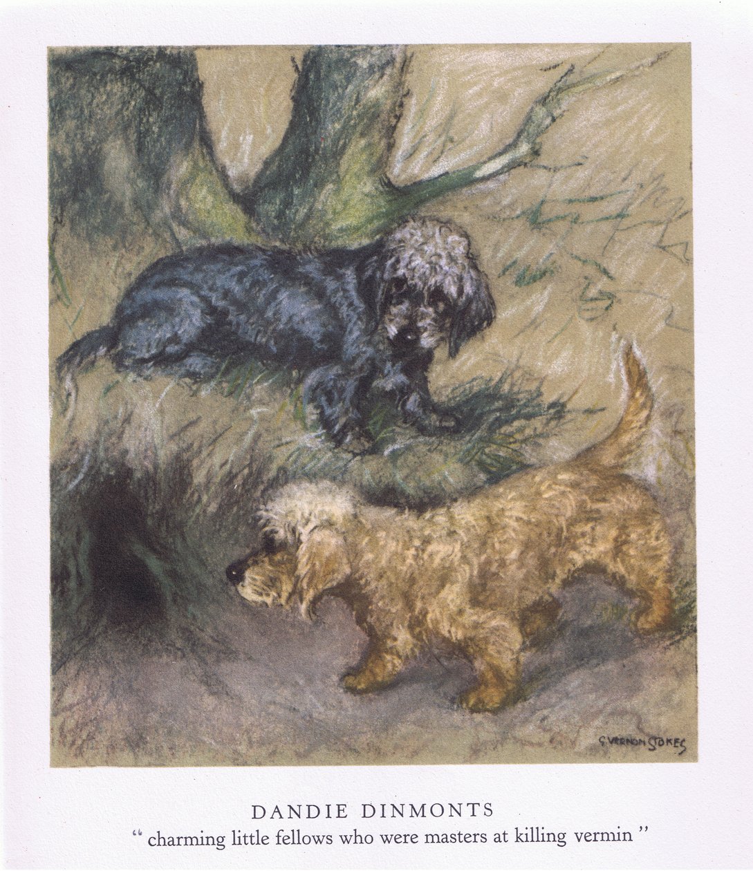  by George Vernon Stokes