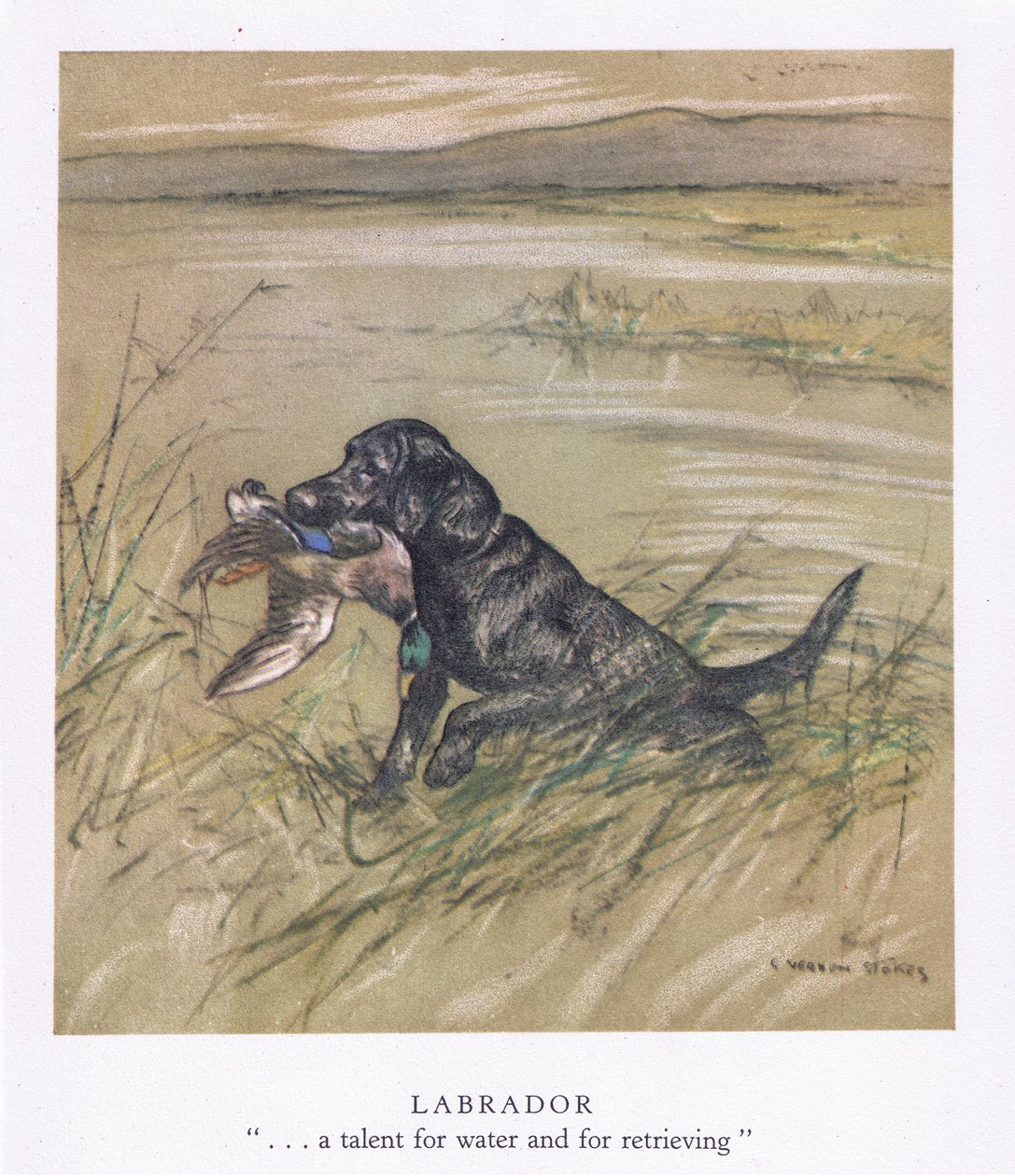  by George Vernon Stokes