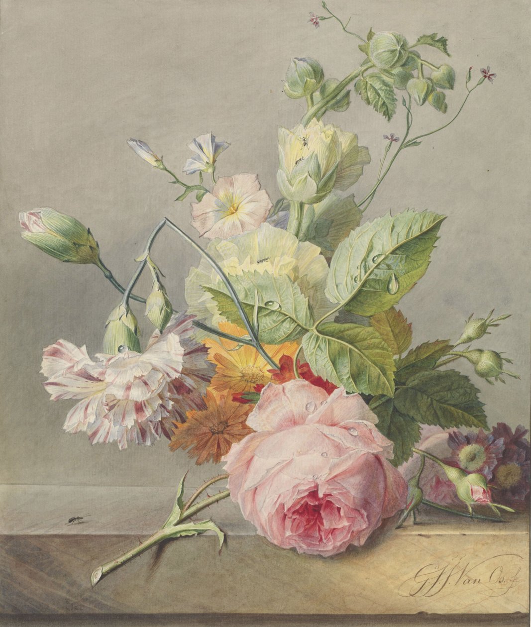 Floral Natürmort, c.1800-25 (kağıt üzerine wc ve kalem) by Georgius Jacobus Johannes van Os