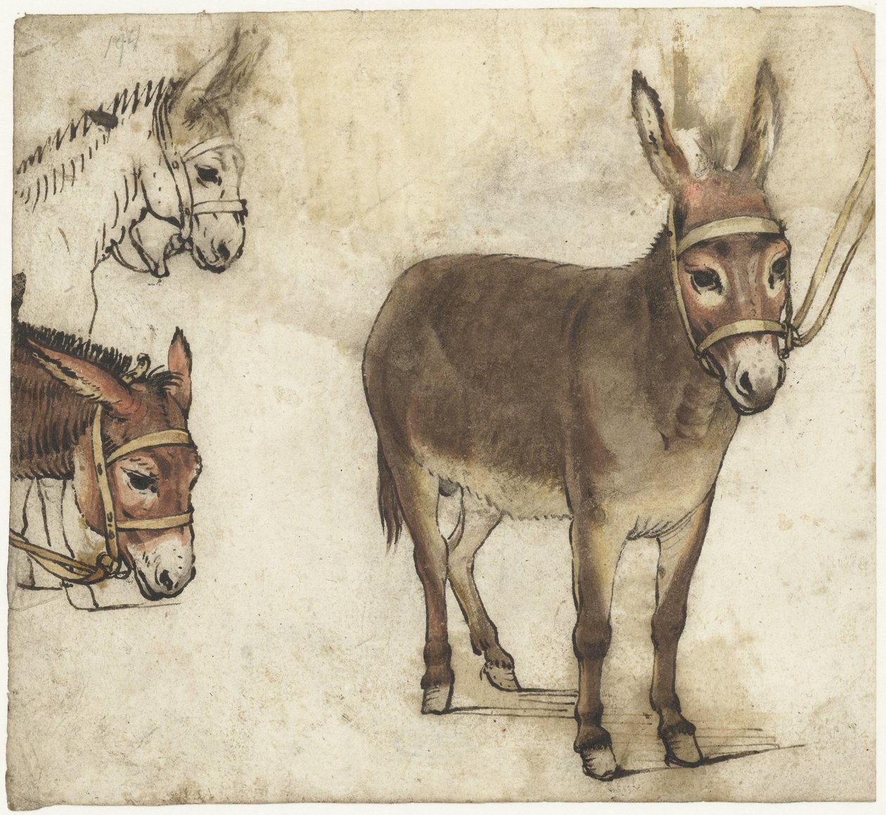 Eşekler ile çalışma sayfası by Gerard ter Borch (I)