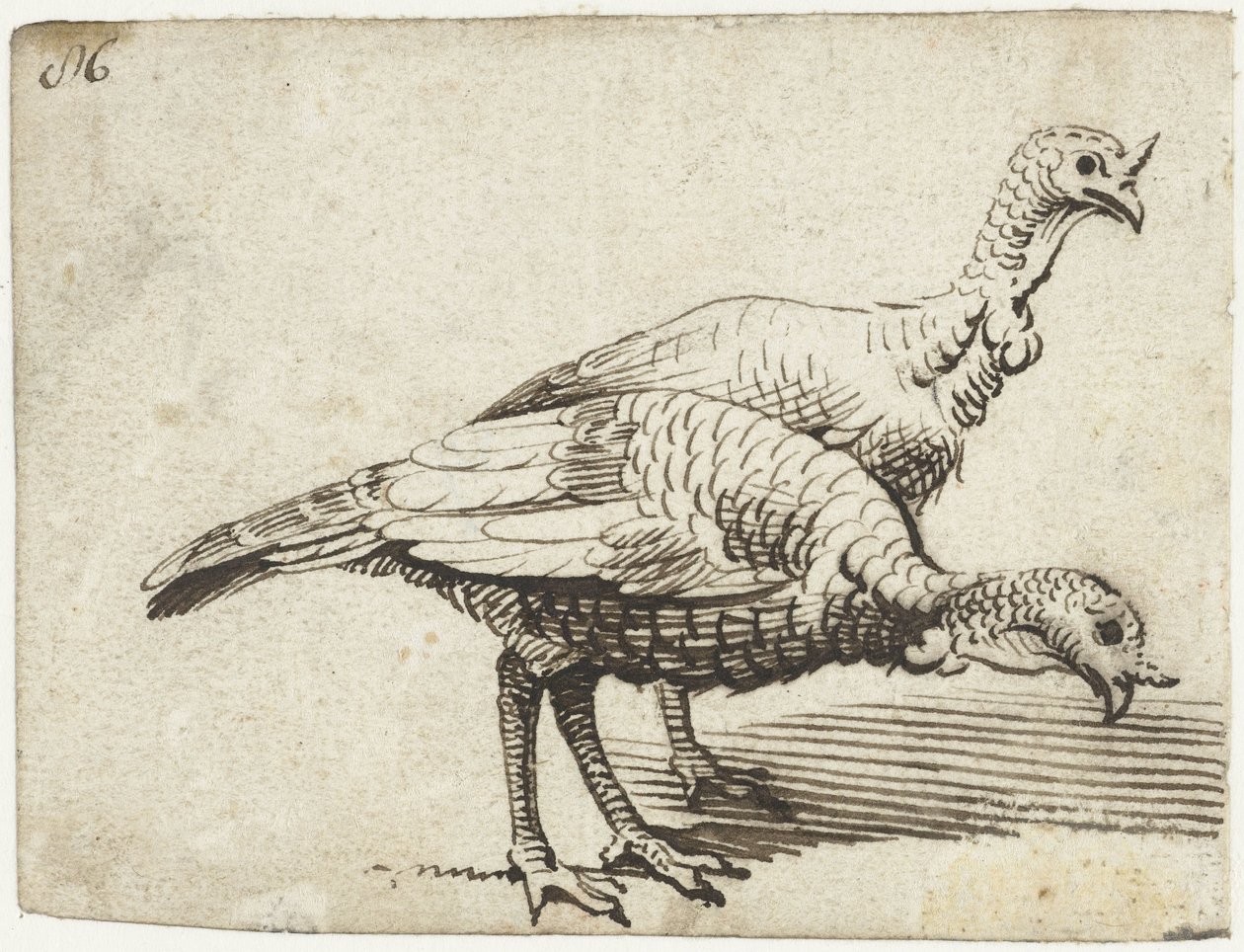 iki hindi by Gerard ter Borch (I)