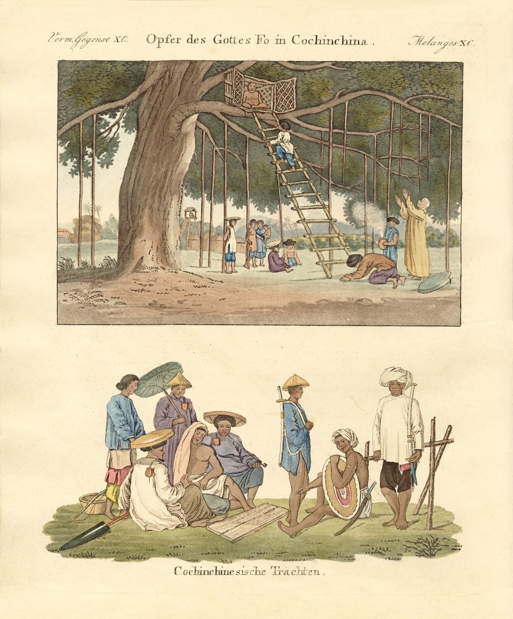 Cochin Chinese kullanımları ve elbiseleri (renkli gravür) by German School