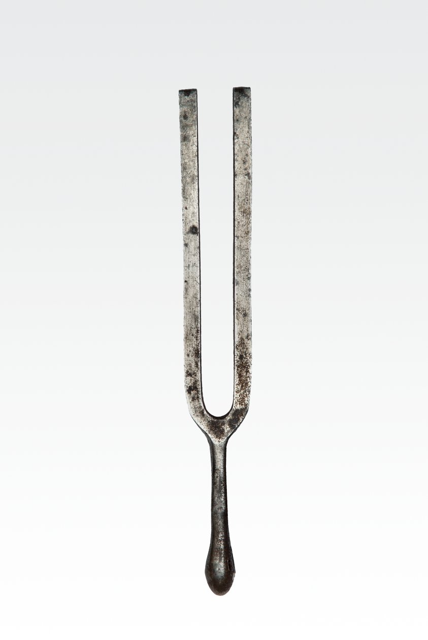 Ticari akort çatalı (metal) by German School