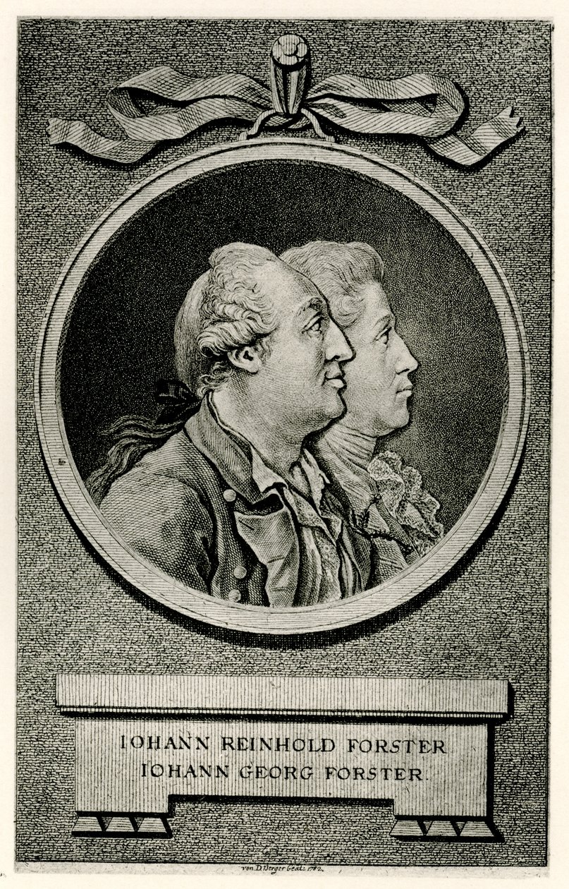 Johann George Forster by German School