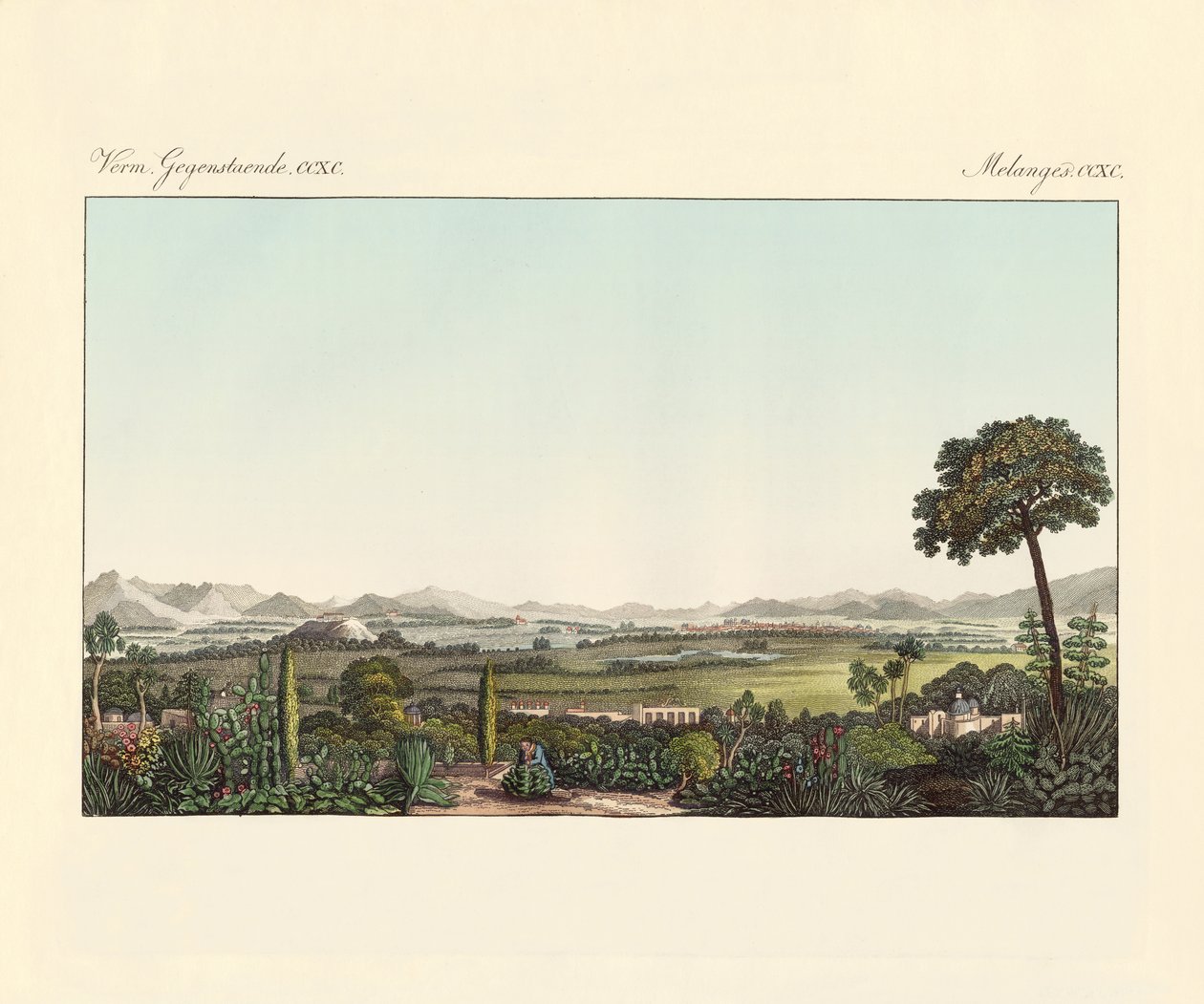 Meksika (renkli gravür) by German School