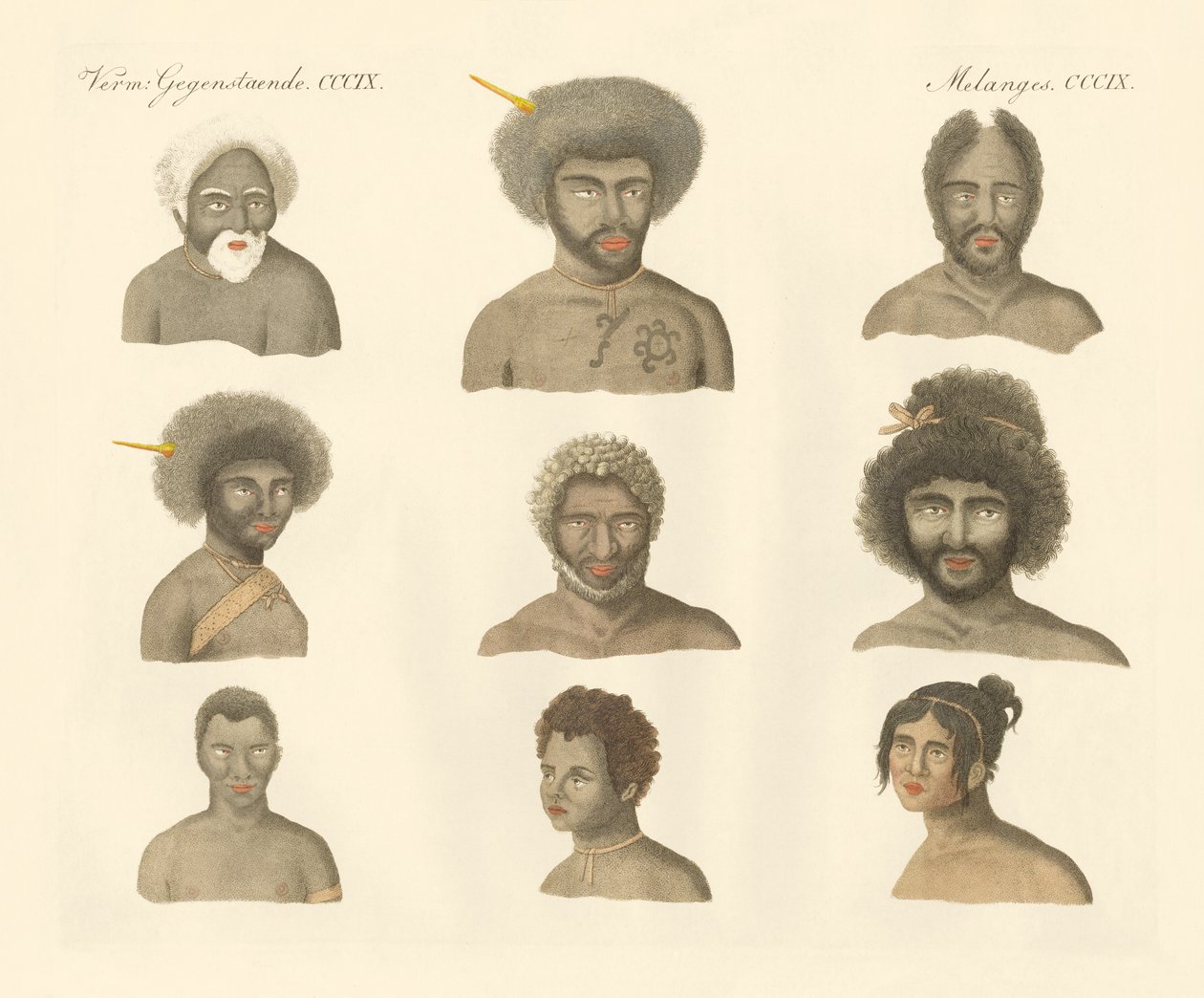 Papualar (renkli gravür) by German School