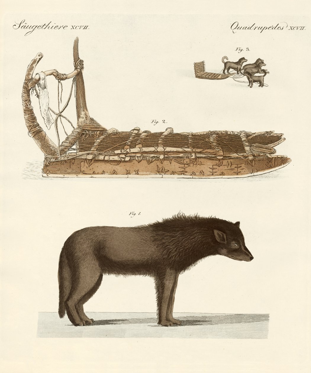 Baffin Körfezi