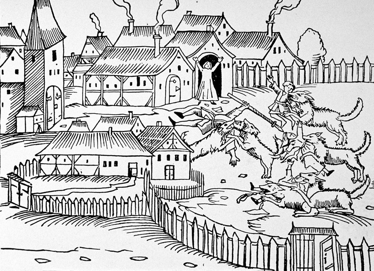 Almanya'da kurtlar çocukları kaçırıyor by German School