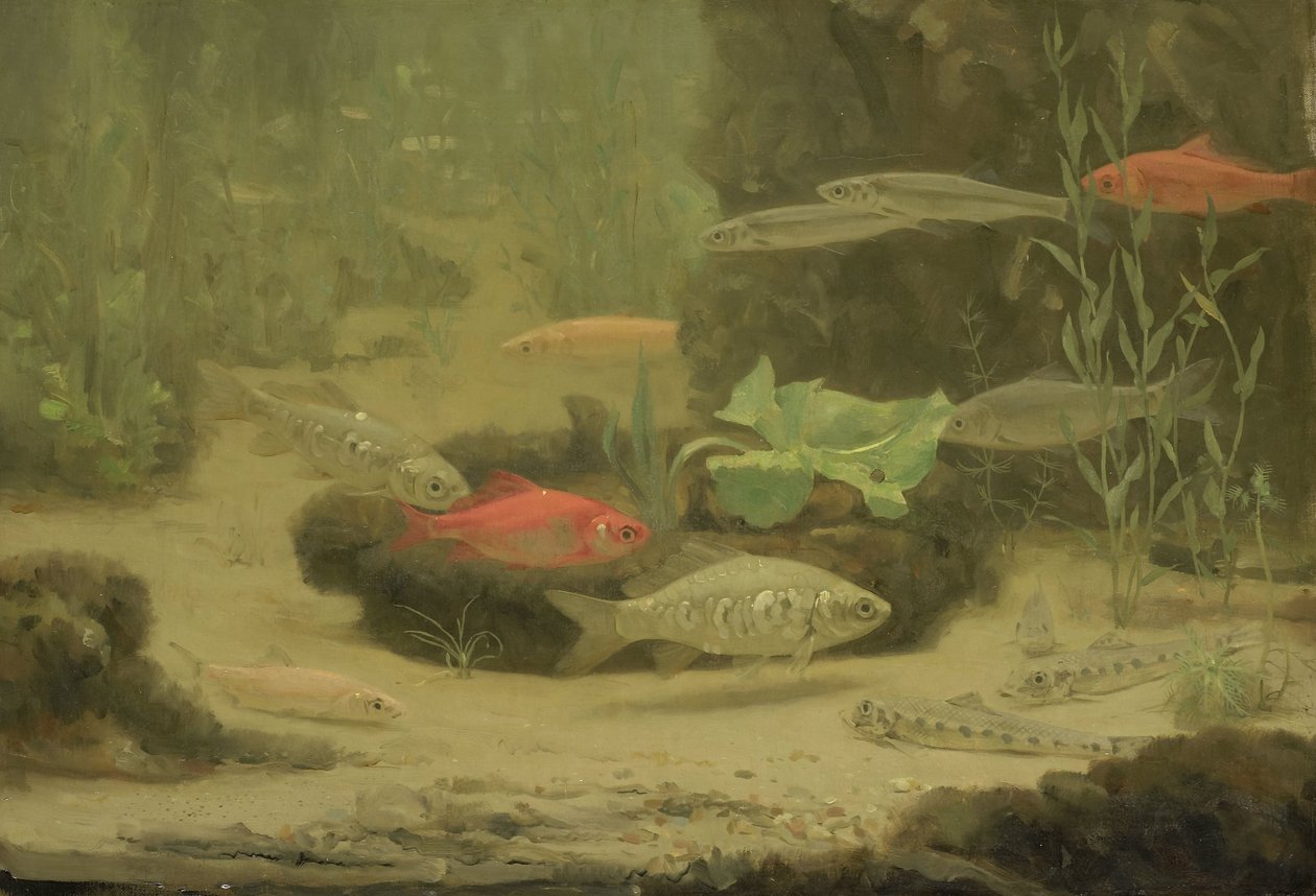 Akvaryumda Altın ve Gümüş Balığı by Gerrit Willem Dijsselhof