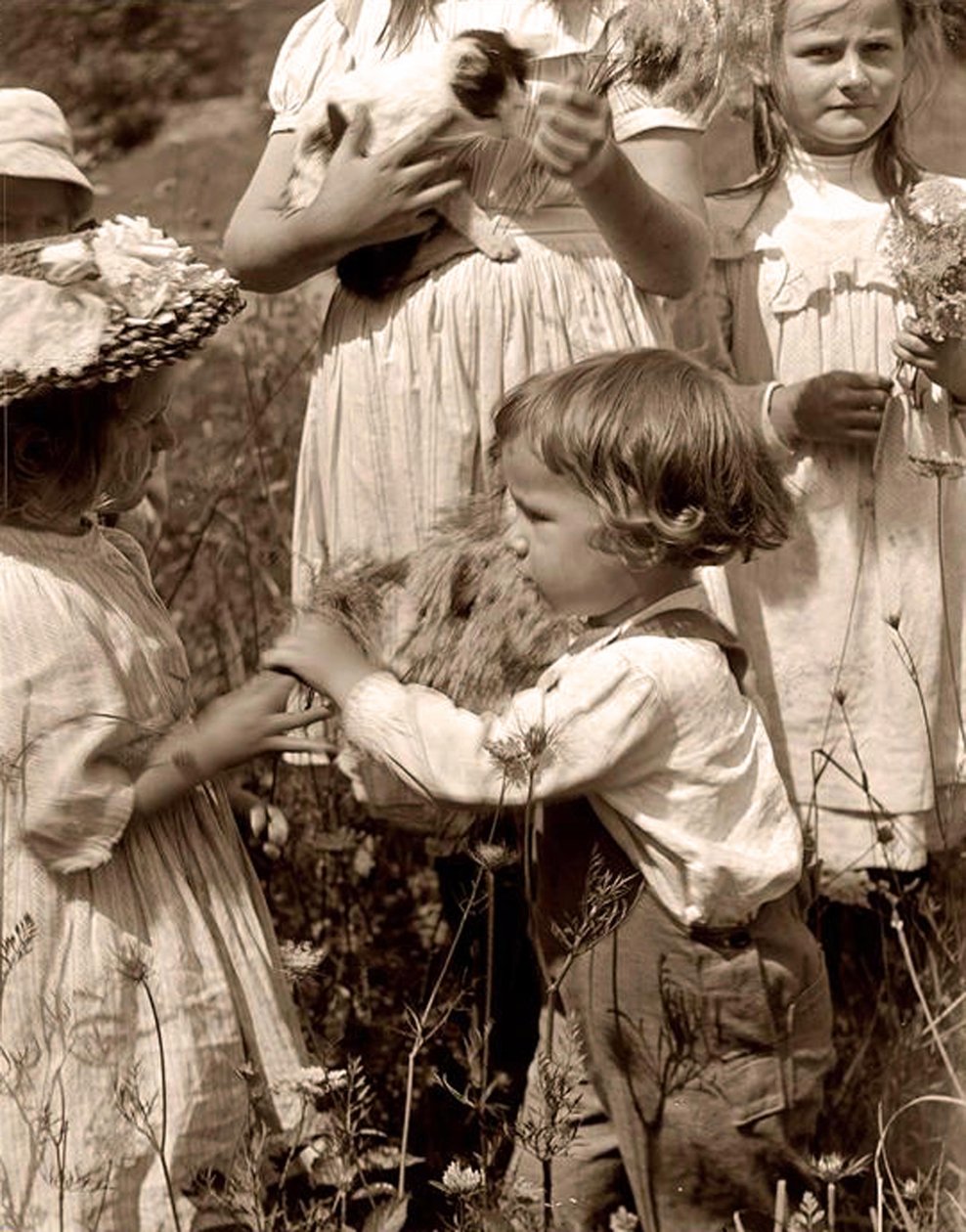 Mutlu günler 1902 Gertrude Kasebier (1852-1934). by Gertrude Käsebier