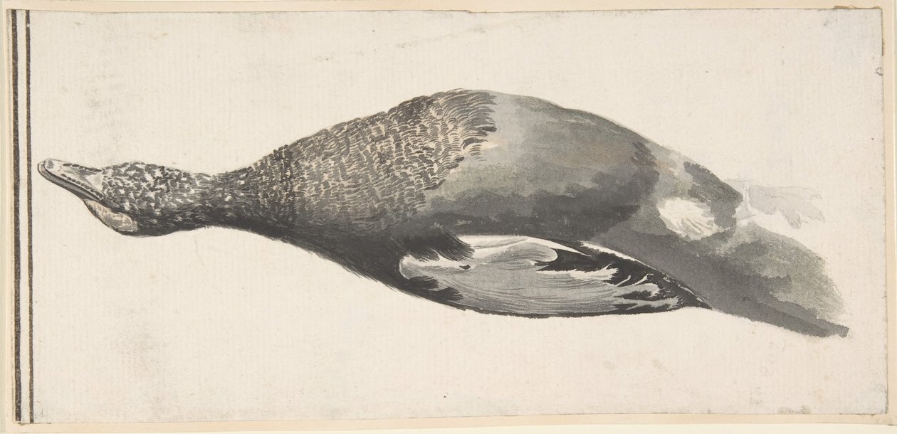 Ölü Ördek, 1685-1755. by Giorgio Durante