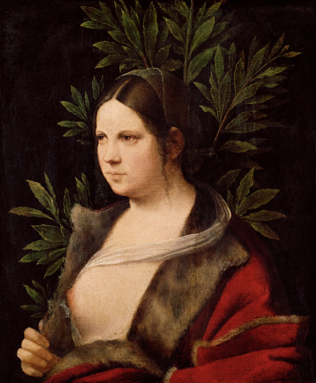 Genç Kadın Laura, 1506 by Giorgione da Castelfranco