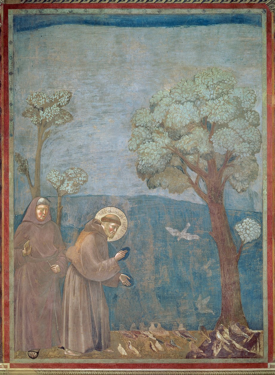 Aziz Francis Kuşlara Vaaz Eder, 1297-99 by Giotto di Bondone