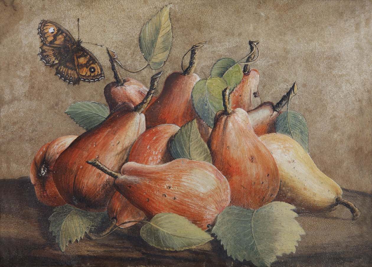 Armut ve kelebek ile natürmort by Giovanna Garzoni