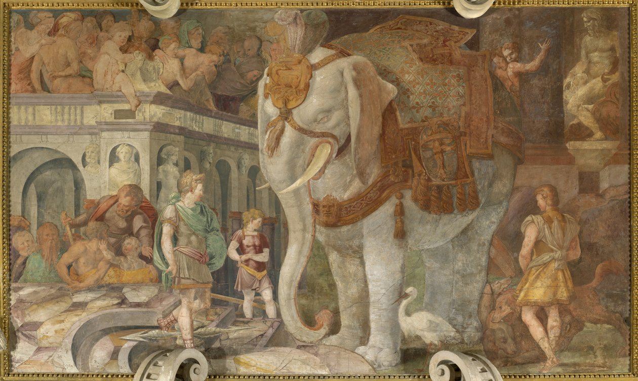 Kraliyet fili by Giovanni Battista Rosso Fiorentino