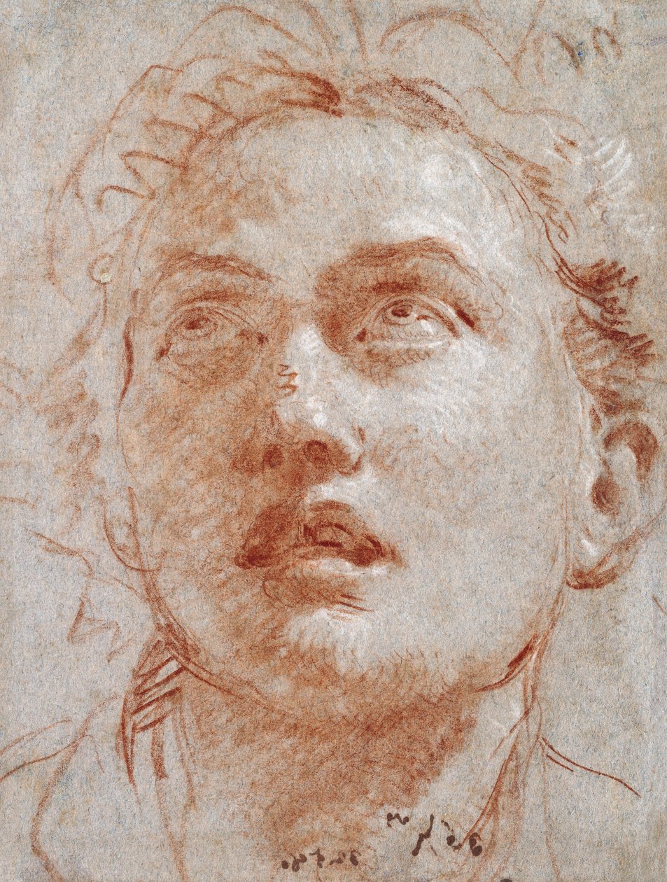 Yukarıya bakan bir adamın başı, by Giovanni Battista Tiepolo