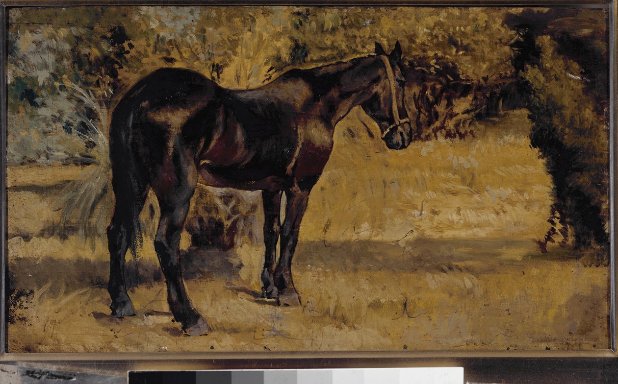 Karanlık at (tuval üzerine yağlı boya by Giovanni Fattori