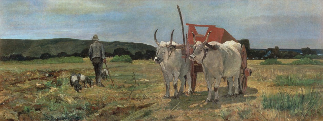 Tuscan Maremma