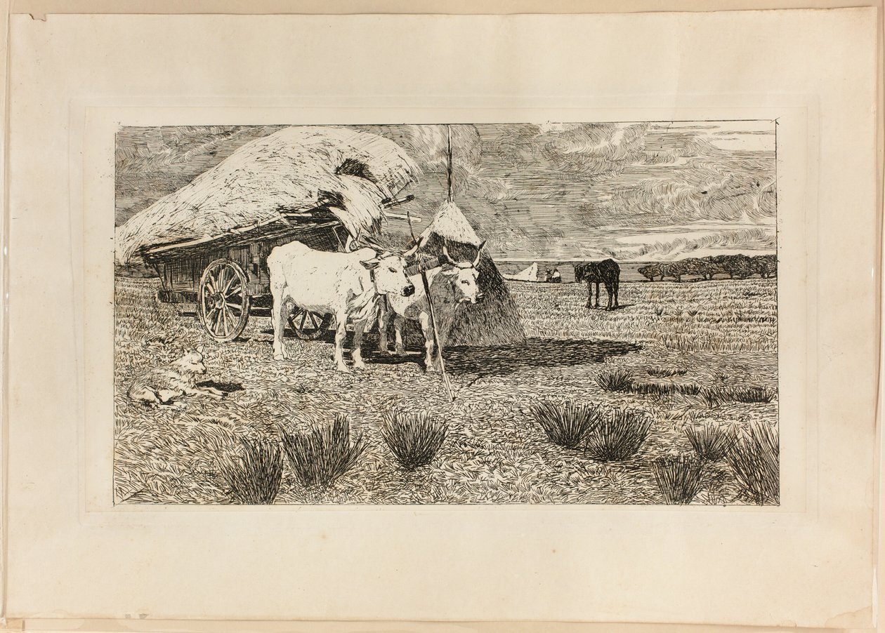 Öküz ve Vagon (Maremma) by Giovanni Fattori