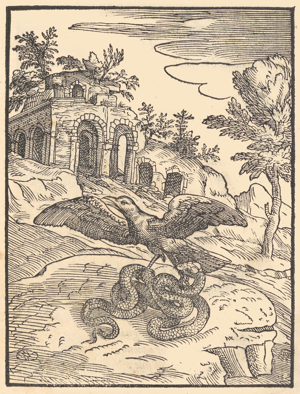 Kuş ve yılan, 1570. by Giovanni Maria Verdizotti