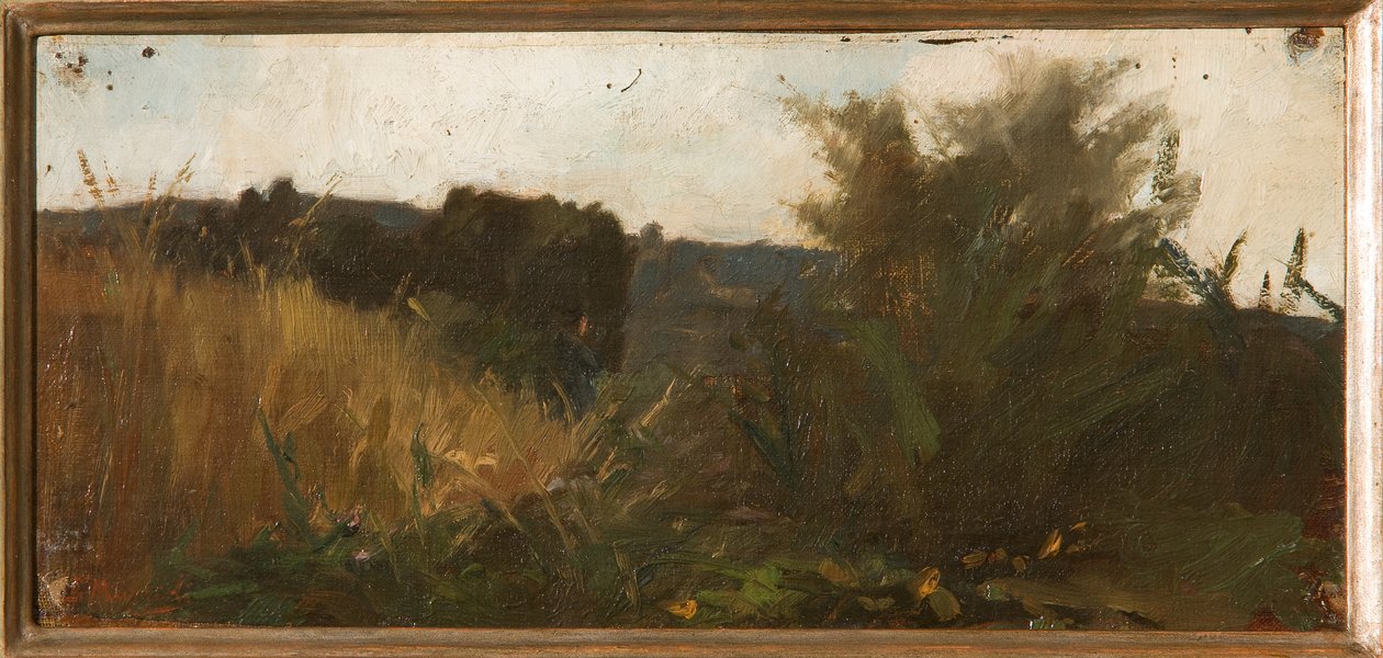 Bitki Örtüsü Çalışması (yağlı boya tablosu) by Giovanni Muzzioli