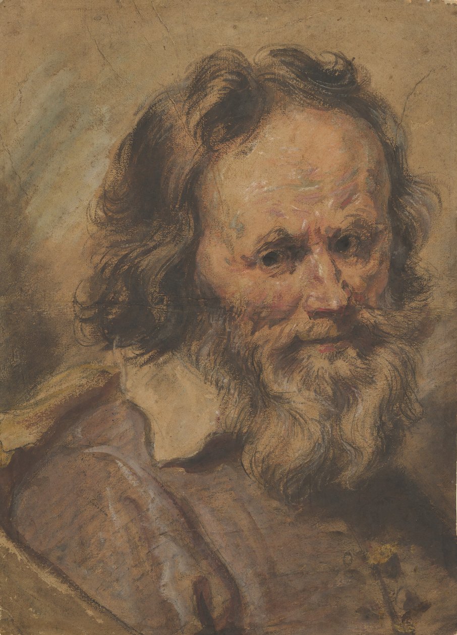 Sakallı Bir Adamın Başı, 1600-1630. by Giovanni Serodine