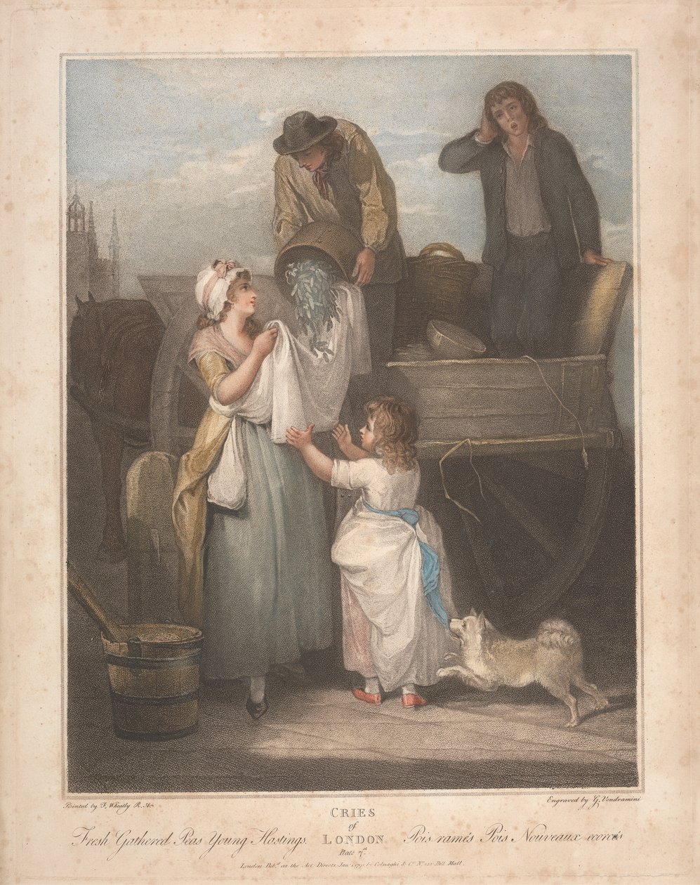 Taze Toplanmış Bezelye, Genç Hastings by Giovanni Vendramini