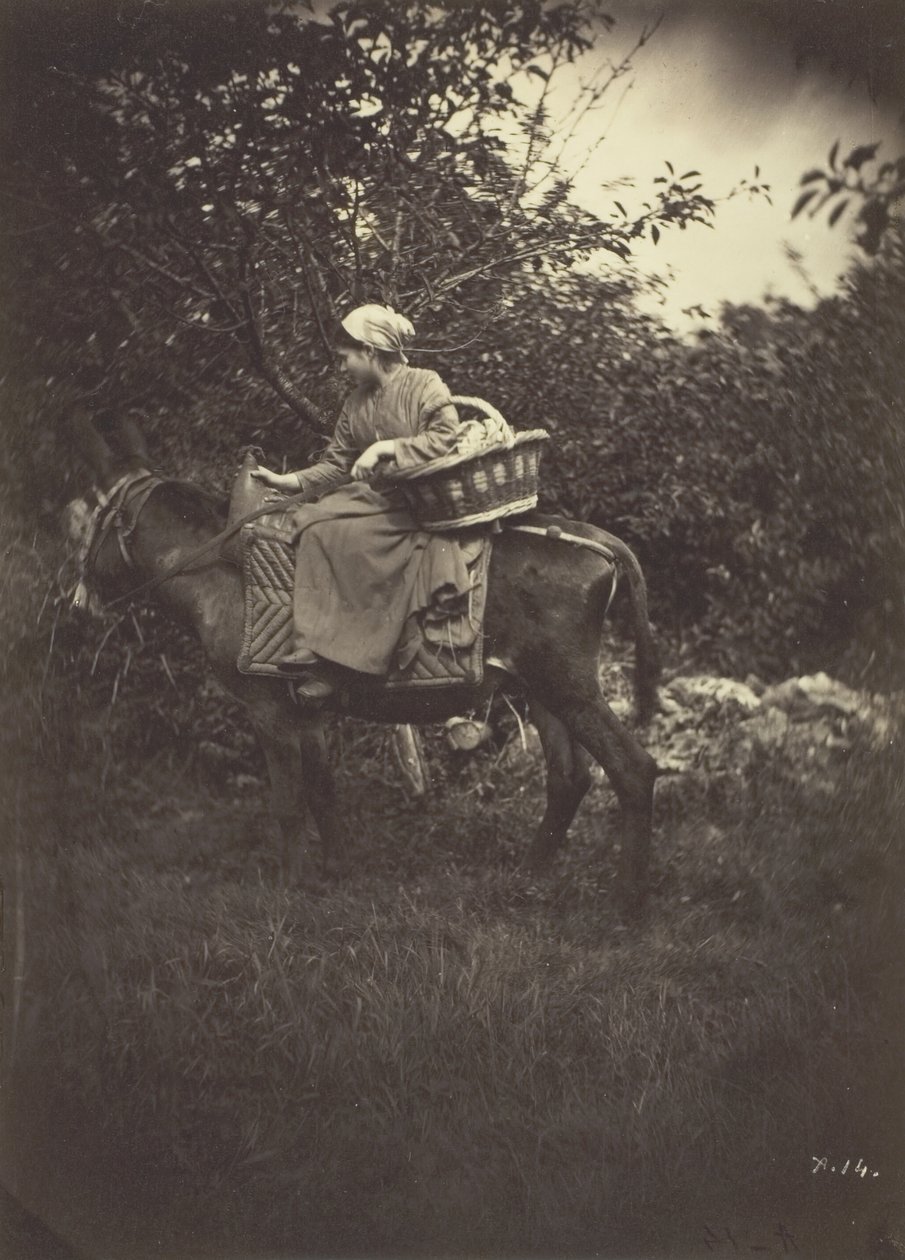 Eşek Binen Kadın Köylü, 1870. by Giraudon