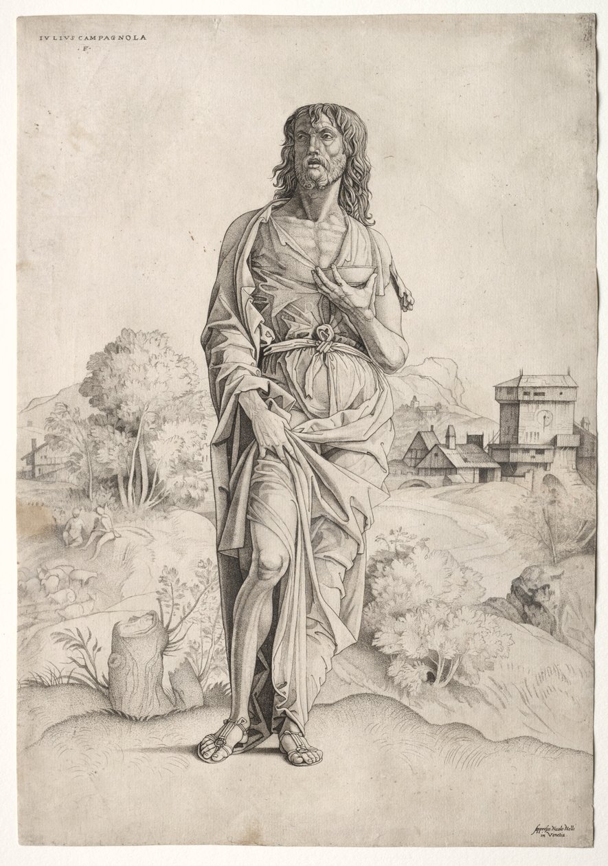Vaftizci Yahya, c. 1505. by Giulio Campagnola