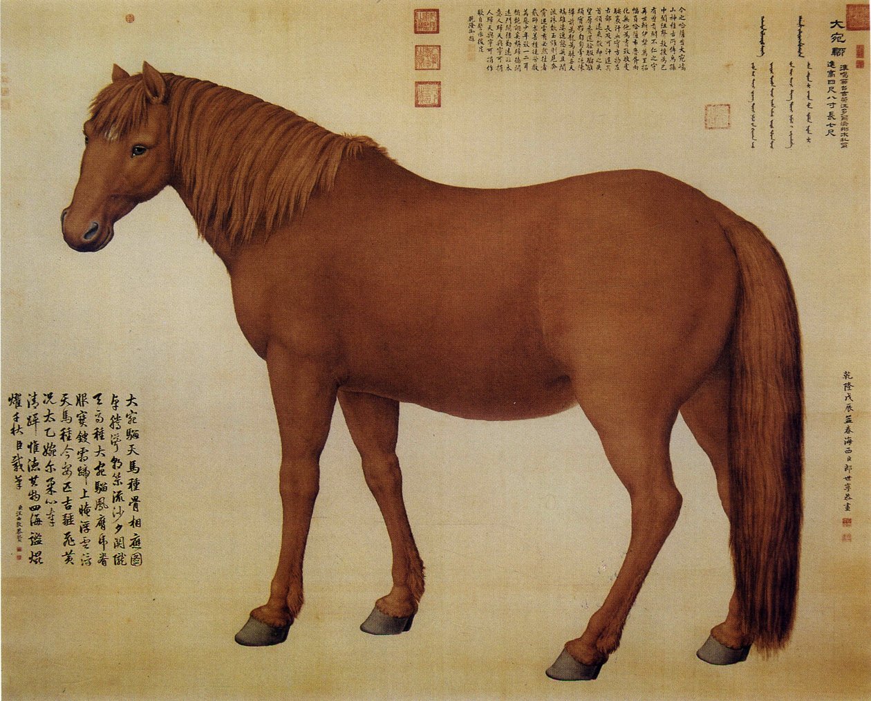 Dawanliu adında bir at by Giuseppe Castiglione