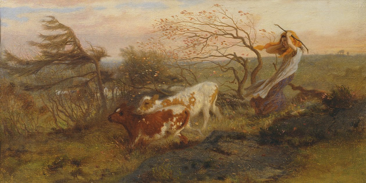  by Giuseppe Baldrighi