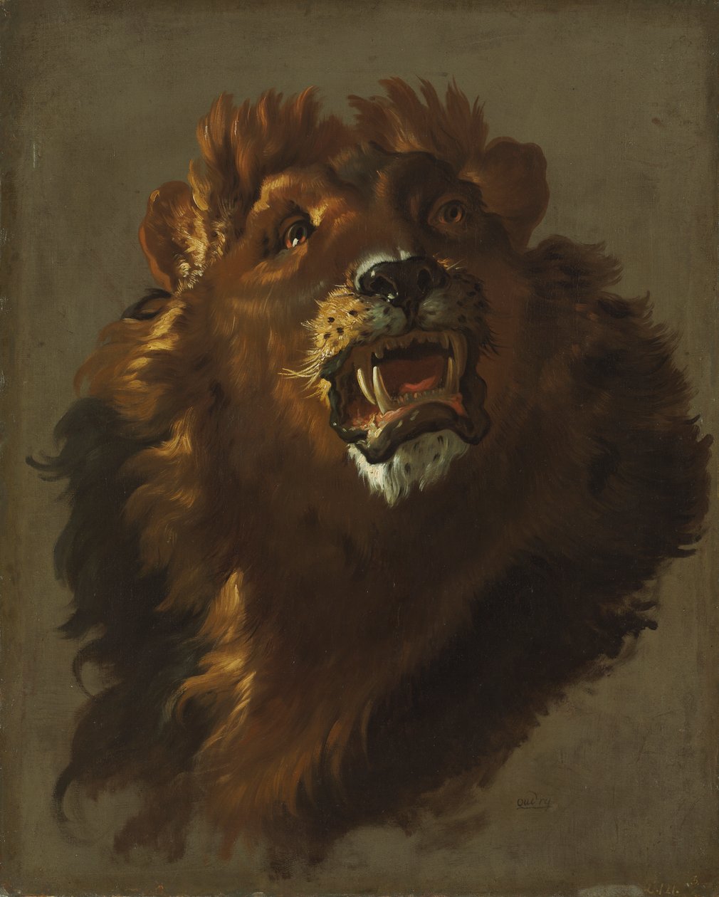 Aslan by Giuseppe Baldrighi