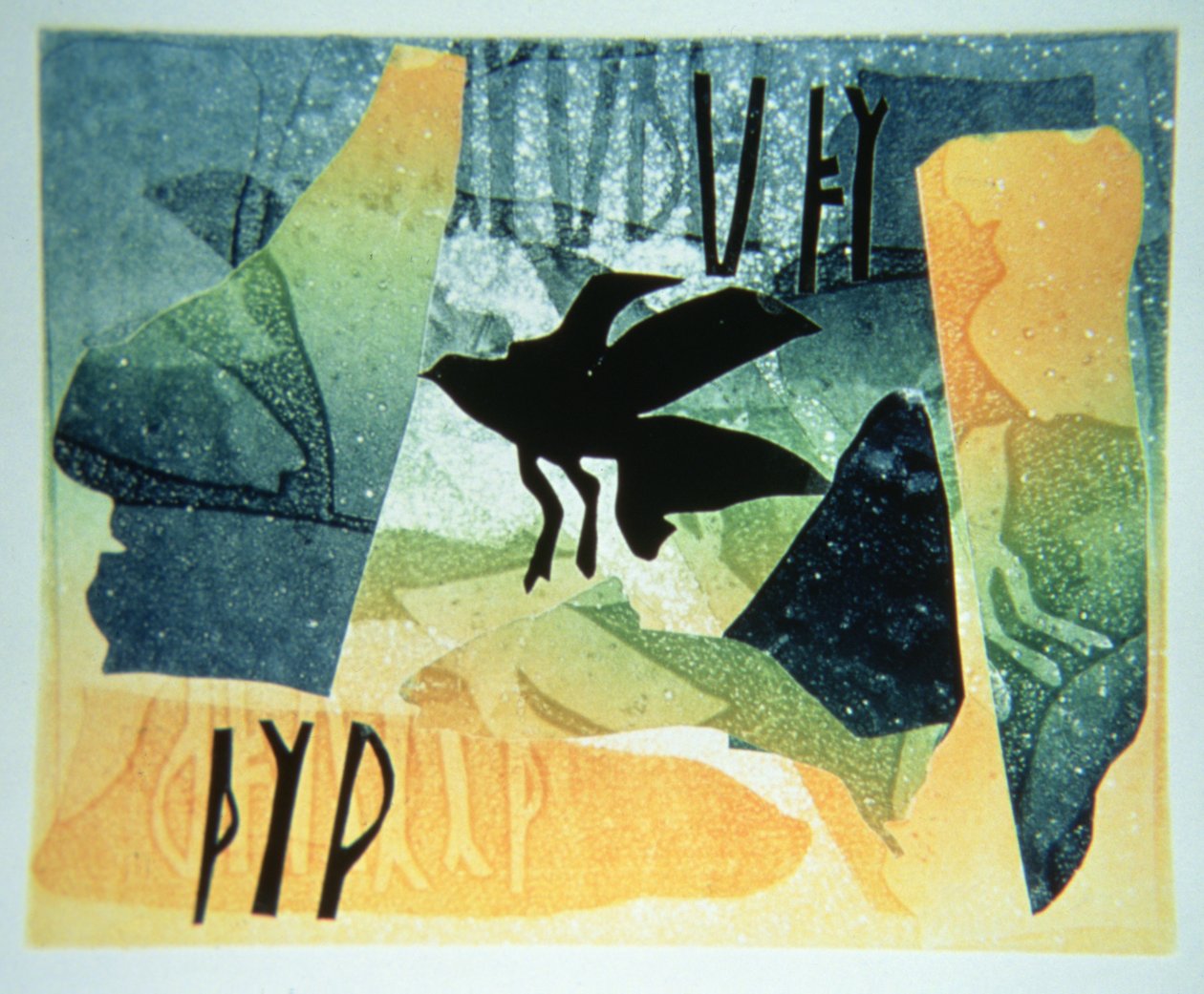 Pikt kuzgun by Gloria Wallington