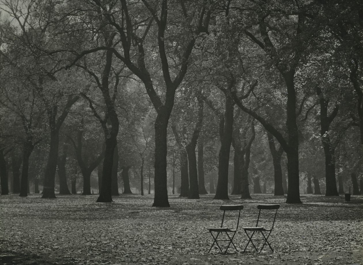  by Godfrey Macdominic