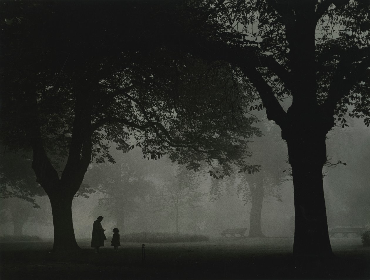  by Godfrey Macdominic
