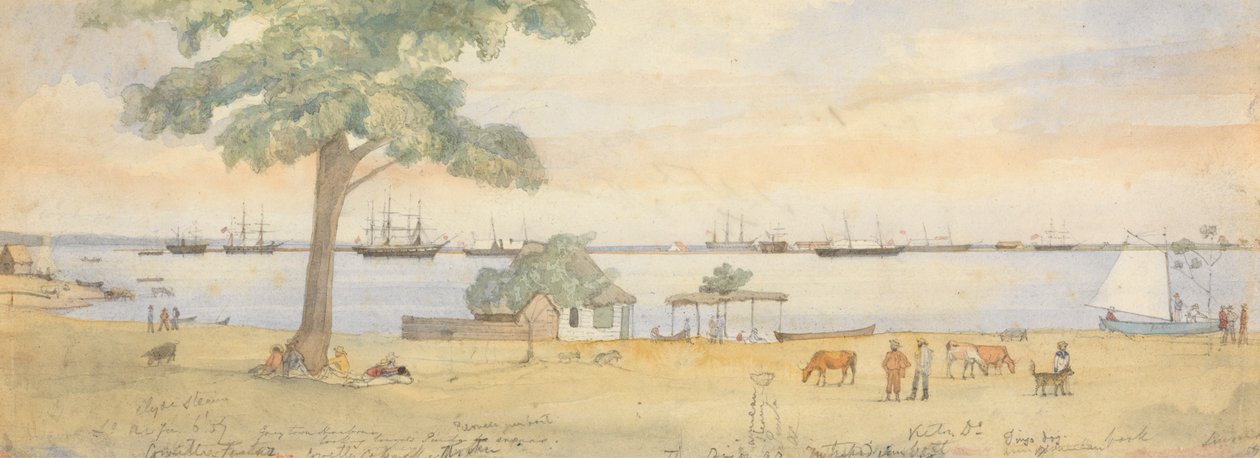 Greytown by Godfrey Thomas Vigne