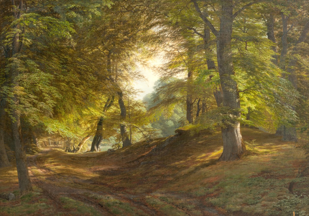 Frederiksborg Kalesi yakınında bir orman by Godtfred Rump