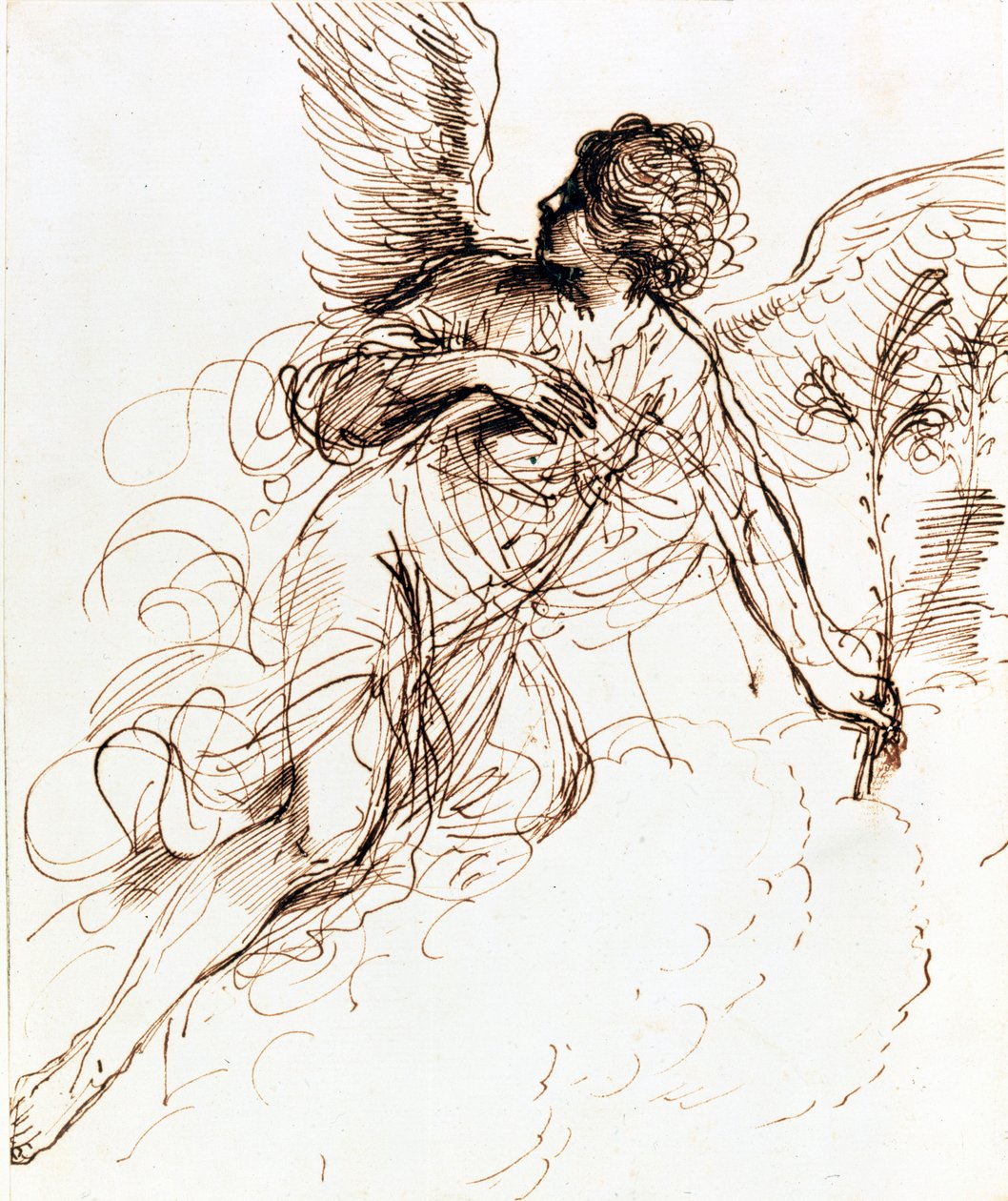 Bir Meleğin Çalışması, c1611-1666 by Guercino