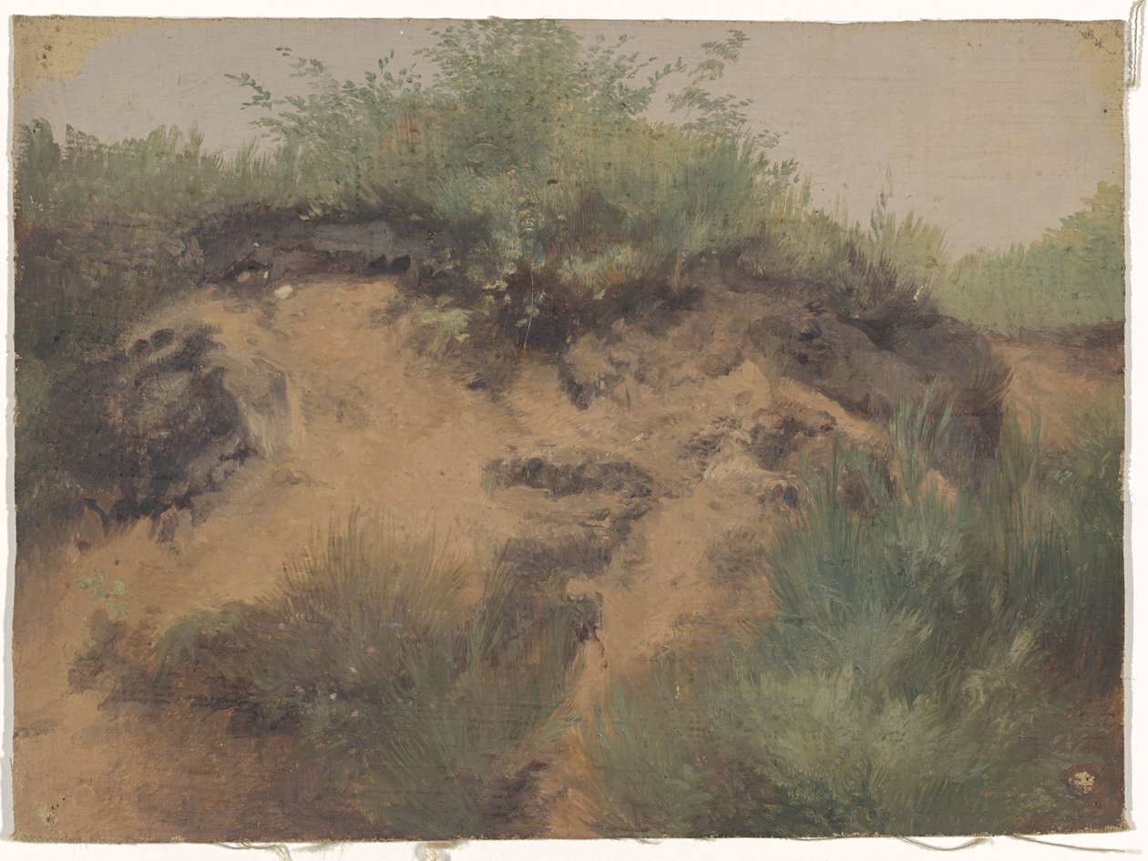 Duinpan by Guillaume Anne van der Brugghen