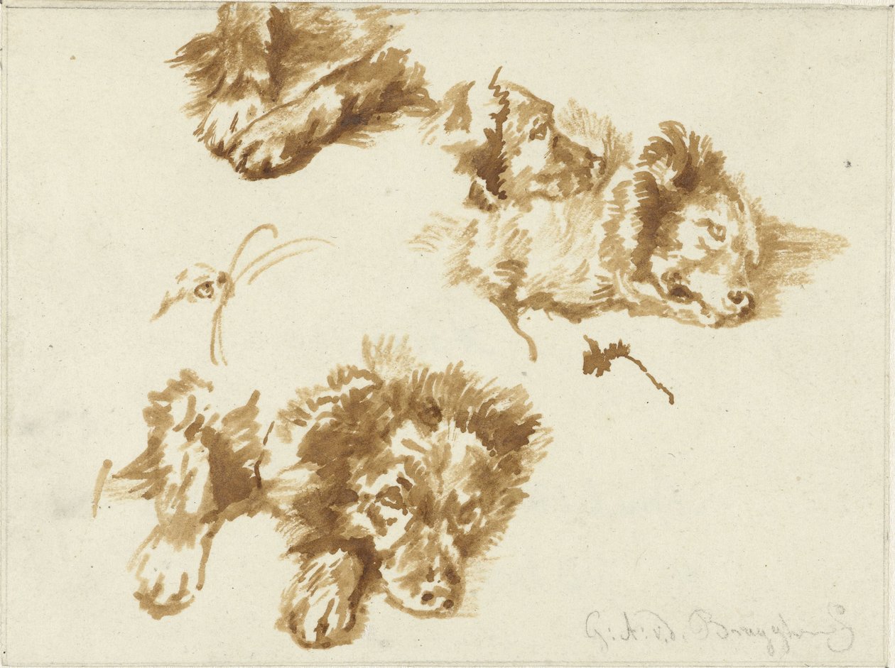 Bir köpeğin çalışmaları by Guillaume Anne van der Brugghen