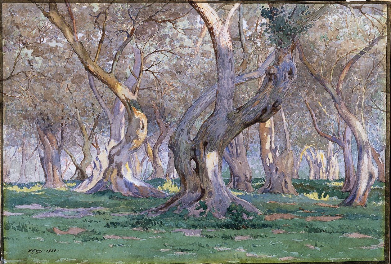 meşe korusu by Gunnar Widforss