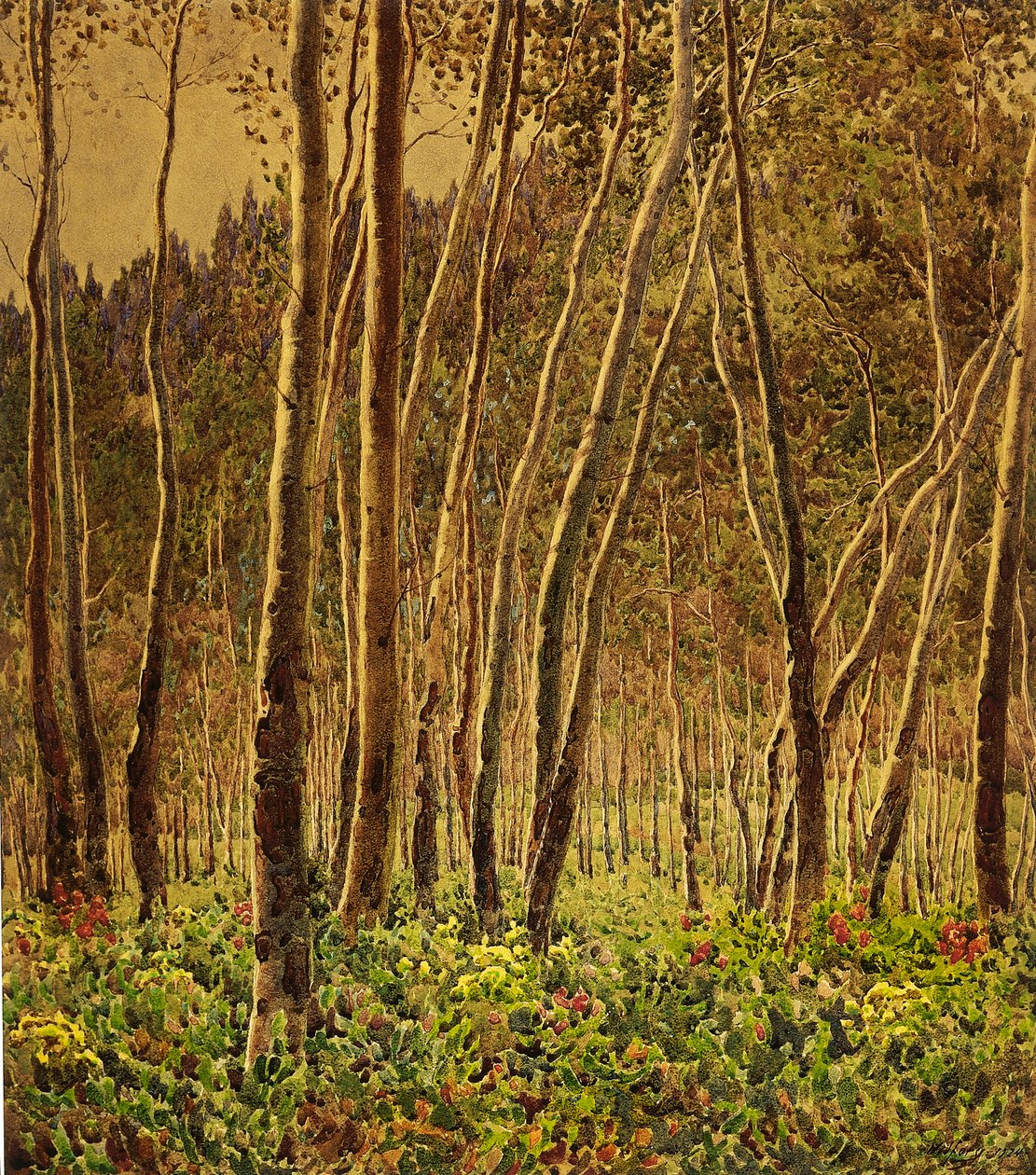 güneşli huş ağacı by Gunnar Widforss