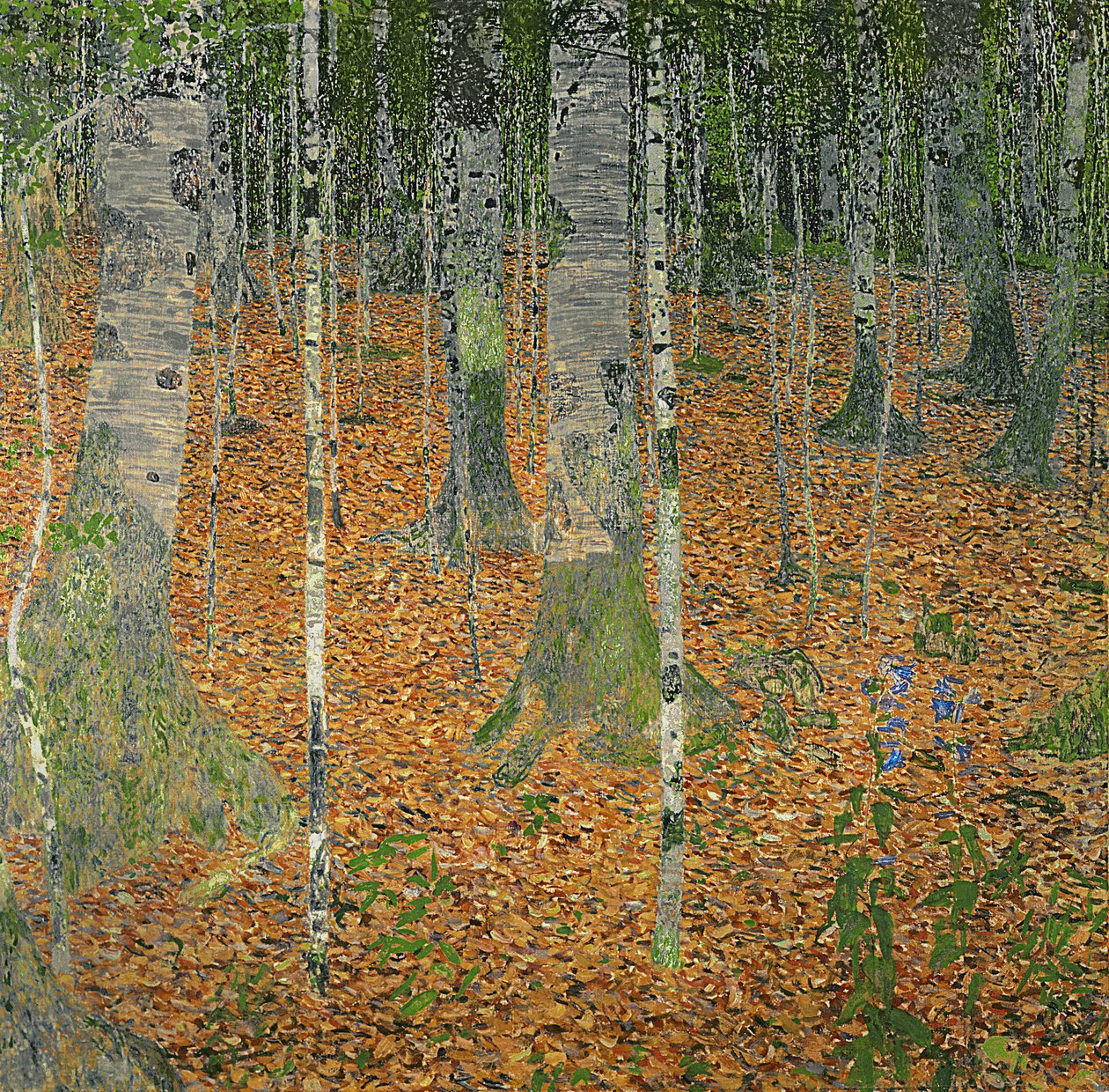 Huş Ağacı, 1903 by Gustav Klimt