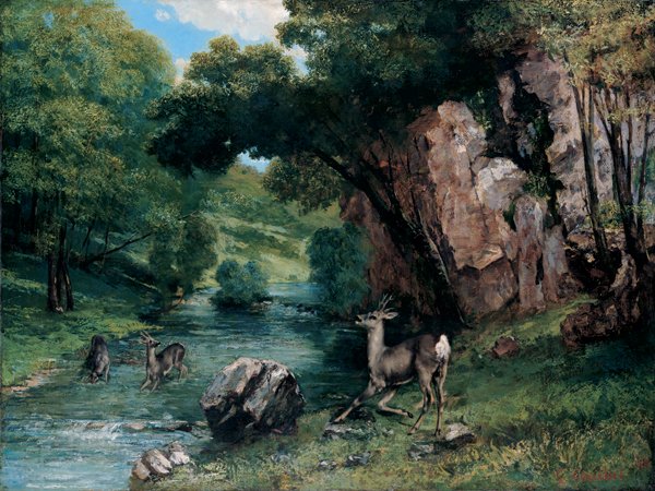 Bir Derede Karaca by Gustave Courbet