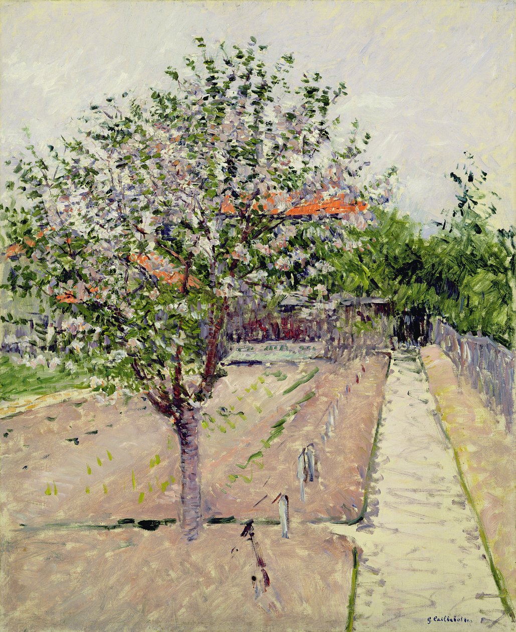 Çiçek Açan Elma Ağacı, c.1885 by Gustave Caillebotte
