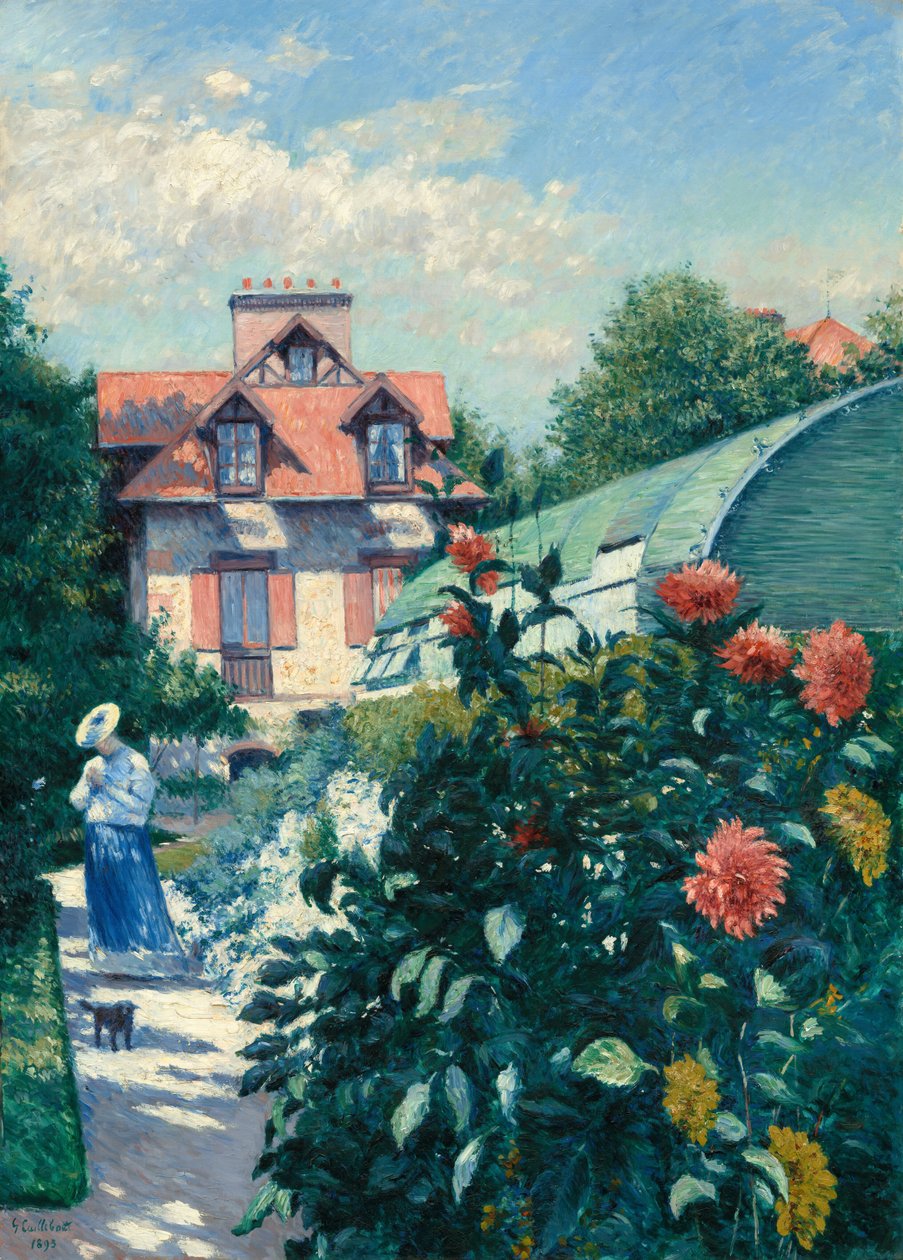 Dahlias, Petit Gennevilliers
