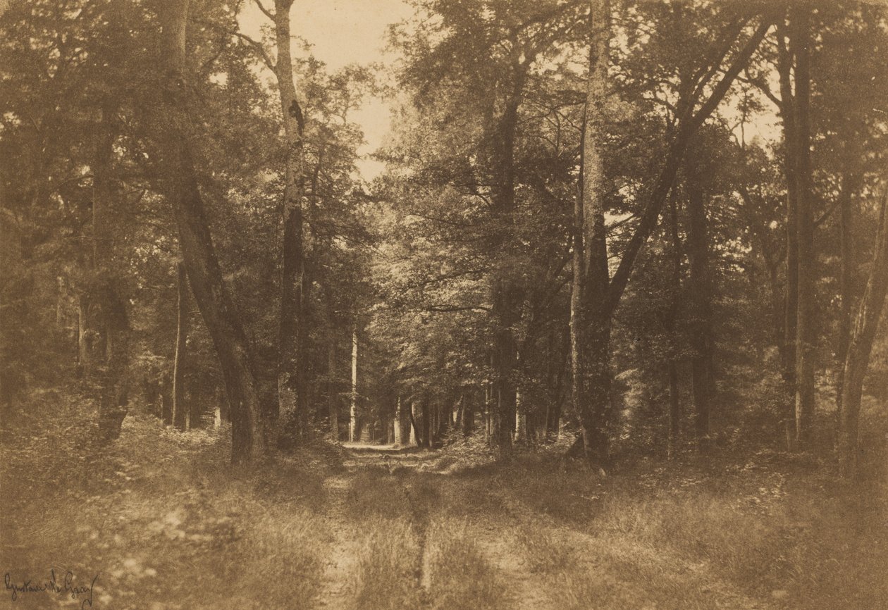 Bas-Bréau, Fontainebleau Ormanı by Gustave Le Gray